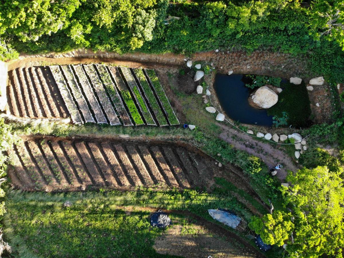 Valle Escondido Nature Reserve Hotel & Farm Monteverde Екстериор снимка
