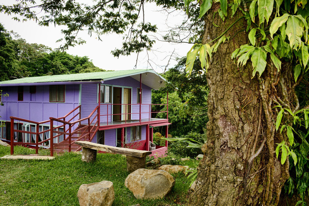 Valle Escondido Nature Reserve Hotel & Farm Monteverde Екстериор снимка